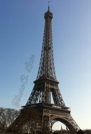 eiffel tower TLC