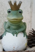 frog-prince-398828_640