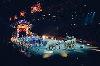 circus-828680_640