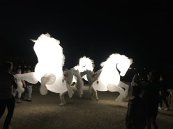 chateau-de-vaux-le-vicomte-15