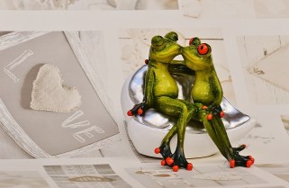 frogs-1280491_640