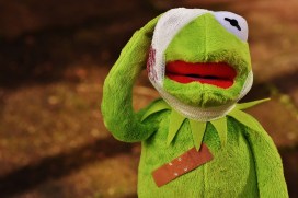 kermit-1767617_1920