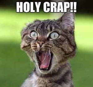 Holy Crap!